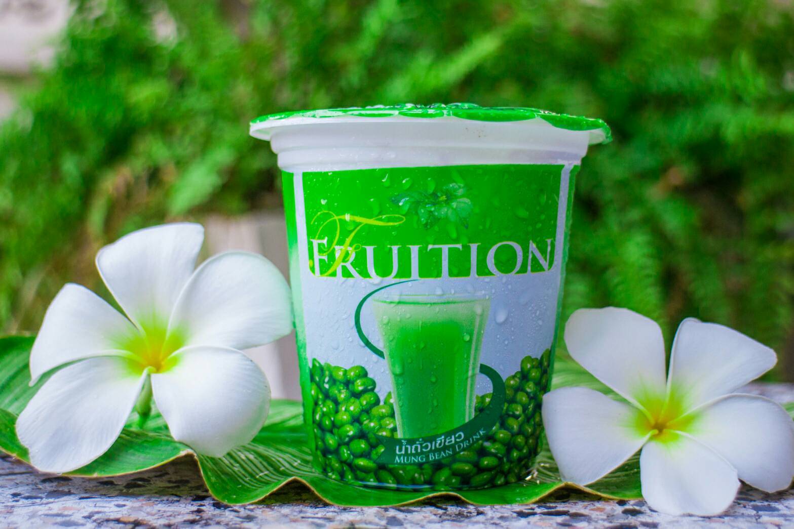 34-408-1100-1 น้ำถั่วเขียว fruition