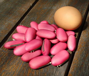 ถั่วฝักดาบแดง - Red Sword Bean