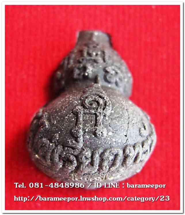 น้ำเต้าไอ้ไข่เรียกทรัพย์ เนื้อว่านกากยายักษ์ (พิมพ์ใหญ่) เลข 278