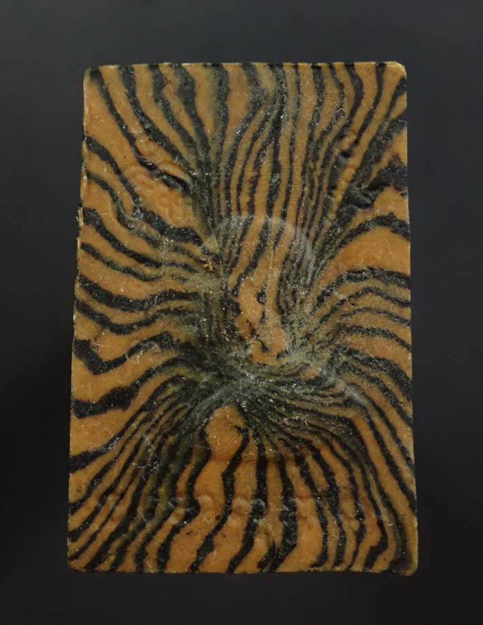 พระสมเด็จปรกโพธิ์หลวงพ่อแพ วัดพิกุลทอง จ.สิงห์บุรี เนื้อผงลาย