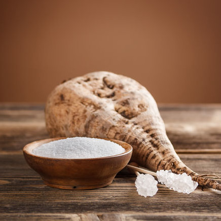 เมล็ดพันธุ์ ชูก้าร์บีท หัวบีทน้ำตาล Sugar Beet Seed