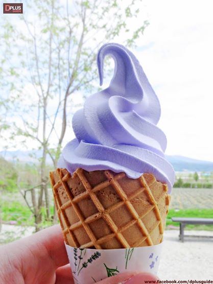 ฮอกไกโด คนเดียวก็เที่ยวได้