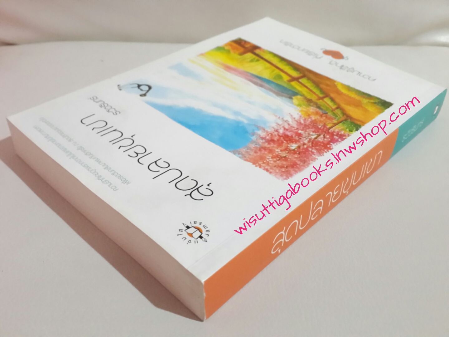 สุดปลายขุนเขา โดย ระวิวรินทร์