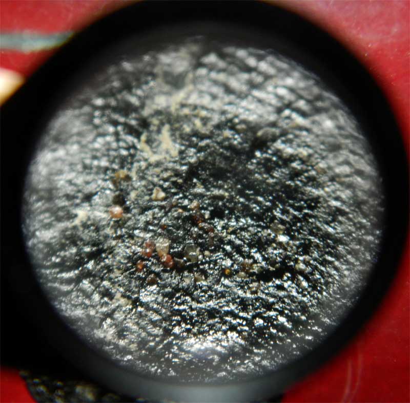 *หายาก ของดีมีไม่บ่อย* หลวงปู่ทวด รุ่นวิเศษ60 เนื้อว่านคลุกรักฝังเม็ดข้าวสารดำ พิมพ์ใหญ่ อาจารย์นอง วัดทรายขาว ปัตตานี ปลุกเสก ปี 2541