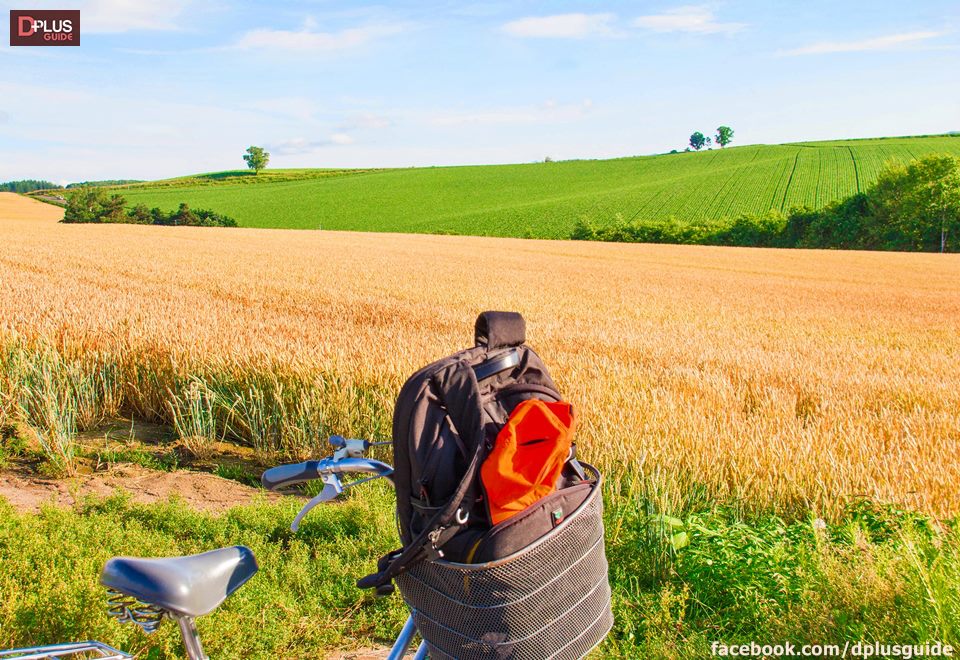 ฮอกไกโด คนเดียวก็เที่ยวได้