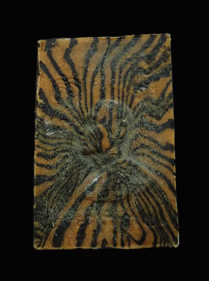 พระสมเด็จปรกโพธิ์หลวงพ่อแพ วัดพิกุลทอง จ.สิงห์บุรี เนื้อผงลาย