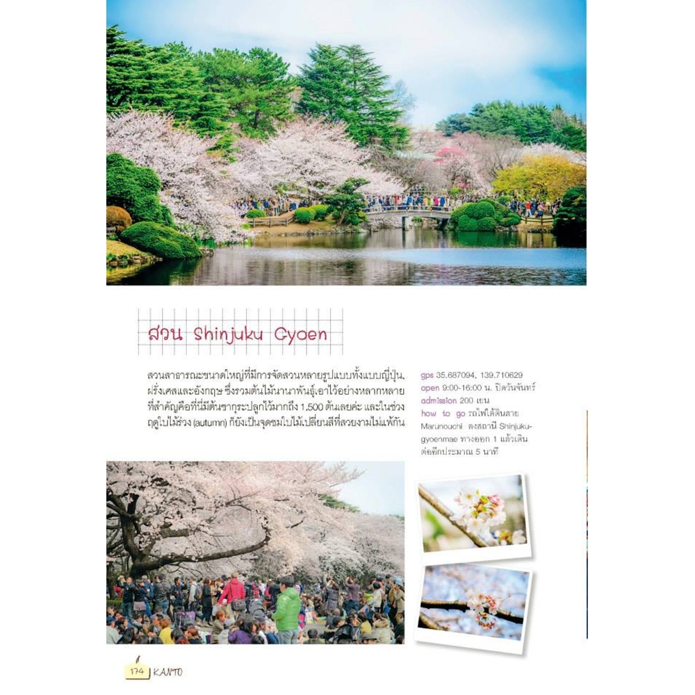 DPlus Guide : Japan ญี่ปุ่น เล่มเดียวเที่ยวทั่วประเทศ