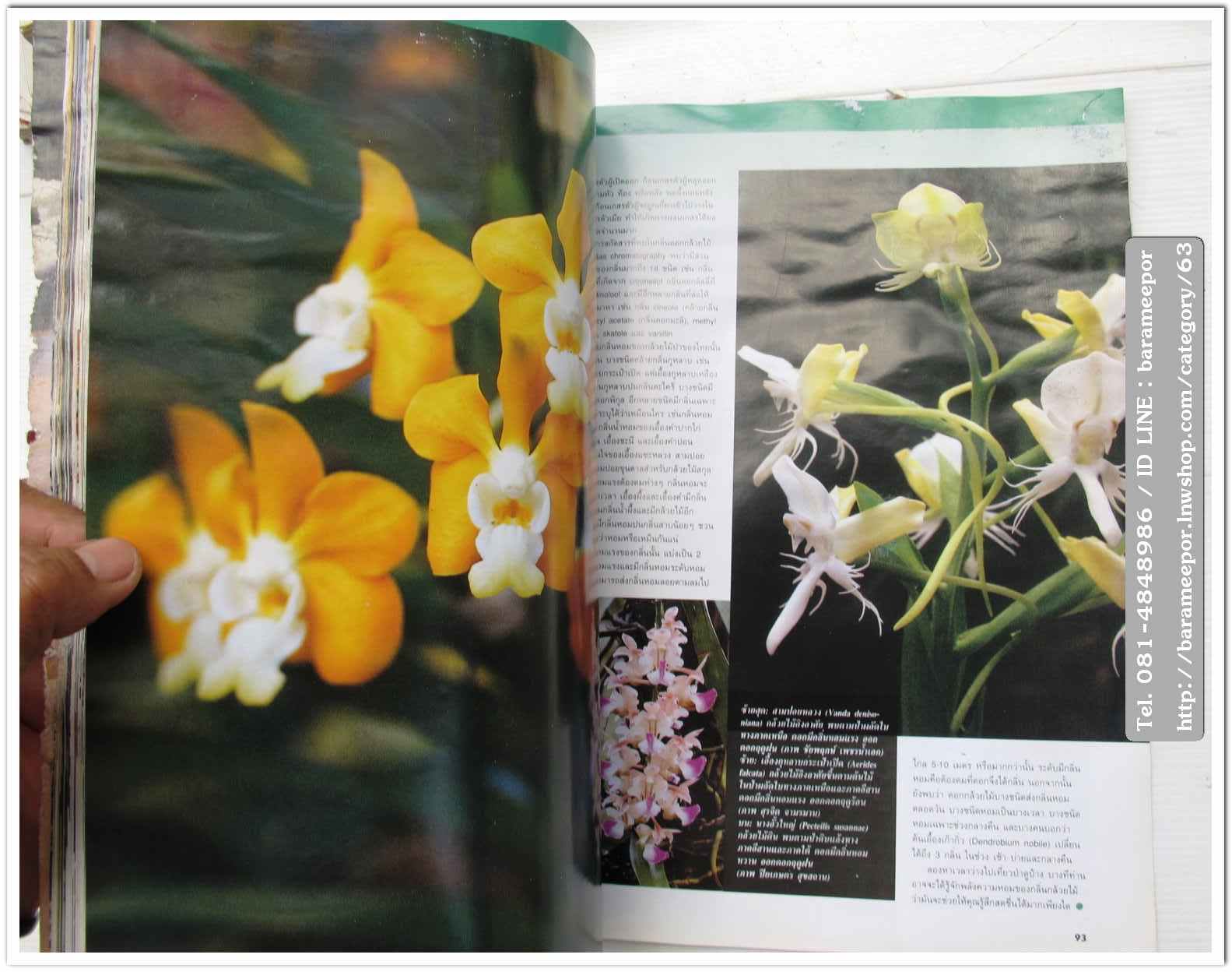 A35 หนังสือรถ NISSAN MAGAZINE