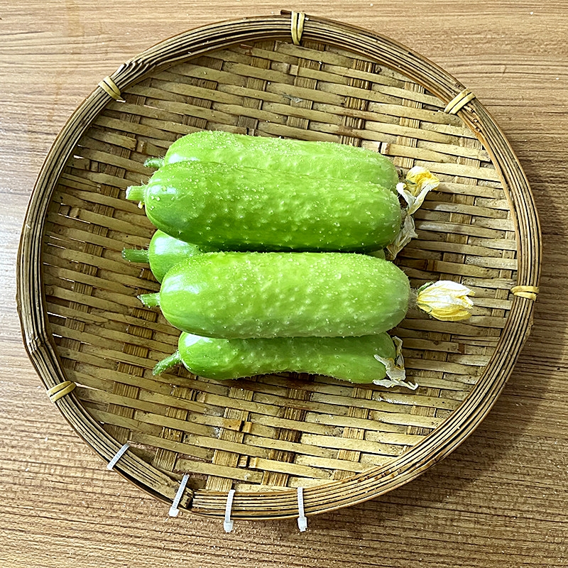 เมล็ดพันธุ์ แตงกวา โกลเด้นนักเก็ต Golden Nugget Cucumber F1 Seed