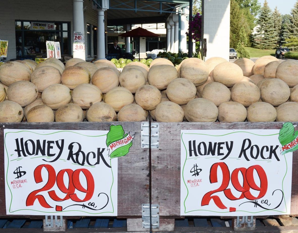 เมล่อน ฮันนี่ร็อค - Honey Rock Melon