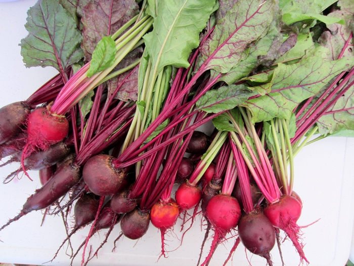 หัวบีช ดีทรอย - Detroit Dark Red Beets