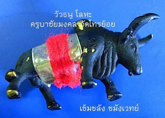 วัวธนู (สีดำ รุ่น1) ครูบาชัยมงคล