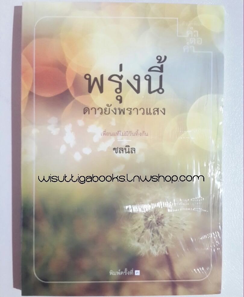 พรุ่งนี้ดาวยังพราวแสง โดย ชลนิล (มือหนึ่ง ในซีล)