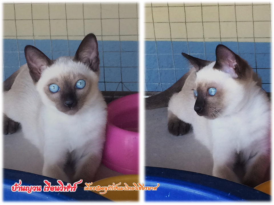 เจ้าจันทร์