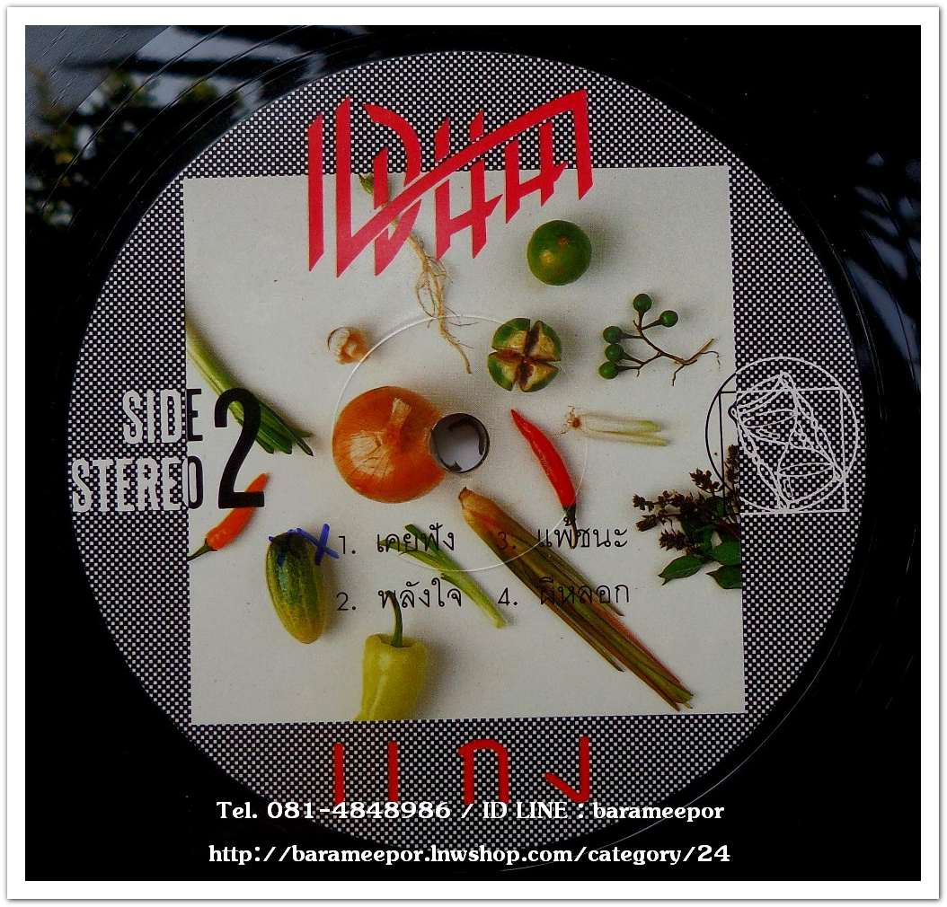 แอนนา โรจน์รุ่งฤกษ์ ชุด แกง เป็นอัลบั้มแรก