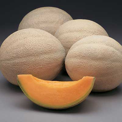แคนตาลูปอิโลกลัว - Iroquois Cantaloupe