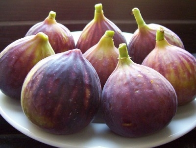 มะเดื่อฝรั่ง - Turkey Fig Fruit