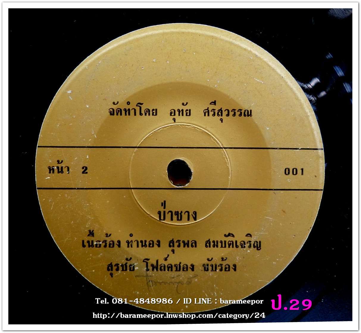 สุรชัย โฟล์คซอง สวยจริงจริง ป่าซาง