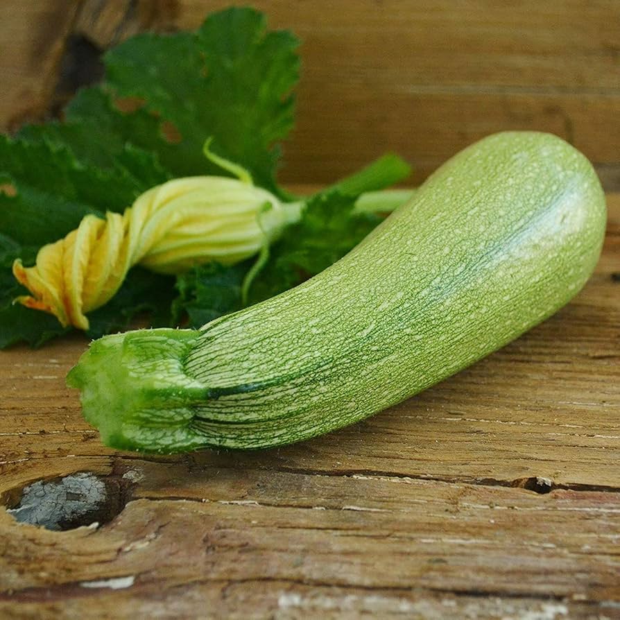 เมล็ดพันธุ์ ฟักทองซูกินี เกรย์ Gray Zucchini Squash Seed