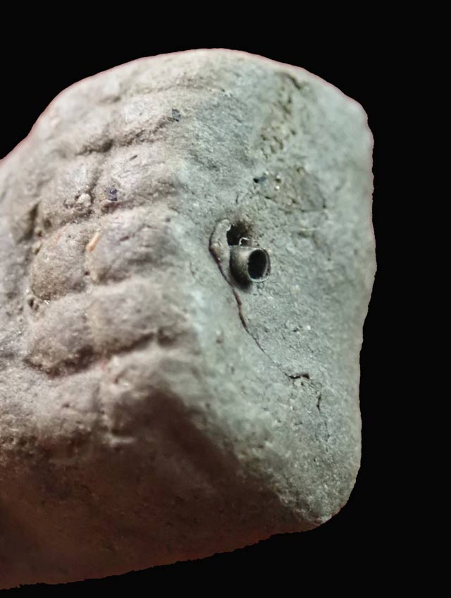 หลวงพ่อทวดเนื้อว่านดินกากยายักษ์ พิมพ์พระรอด ฝังตะกรุดเงิน (หลังตราแผ่นดิน) อาจารย์ทอง วัดสำเภาเชย ปี 2551 รุ่นพิทักษ์แผ่นดิน