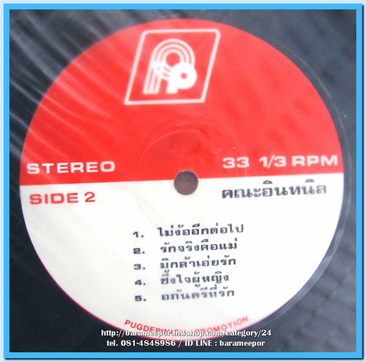 วงอินทนิล ชุด รักเพียงเธอ