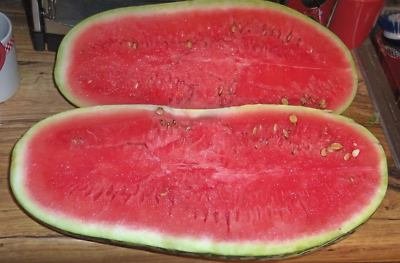 แตงโม จูบิลี - Jubilee Watermelon