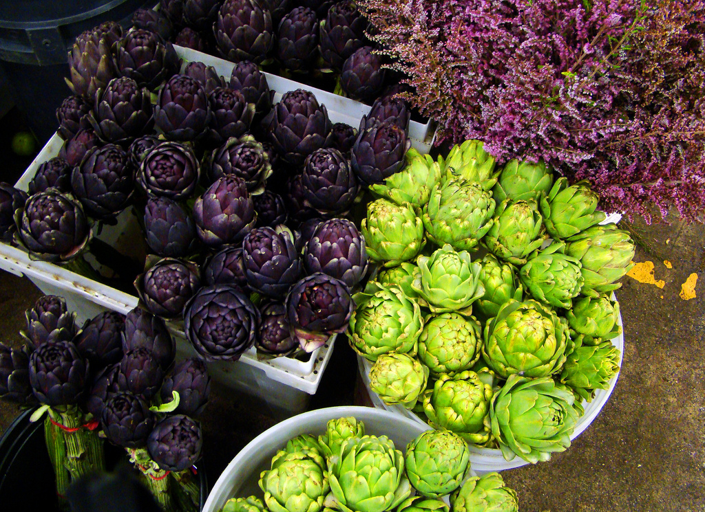 อาติโช้ค สีม่วง - Purple artichoke