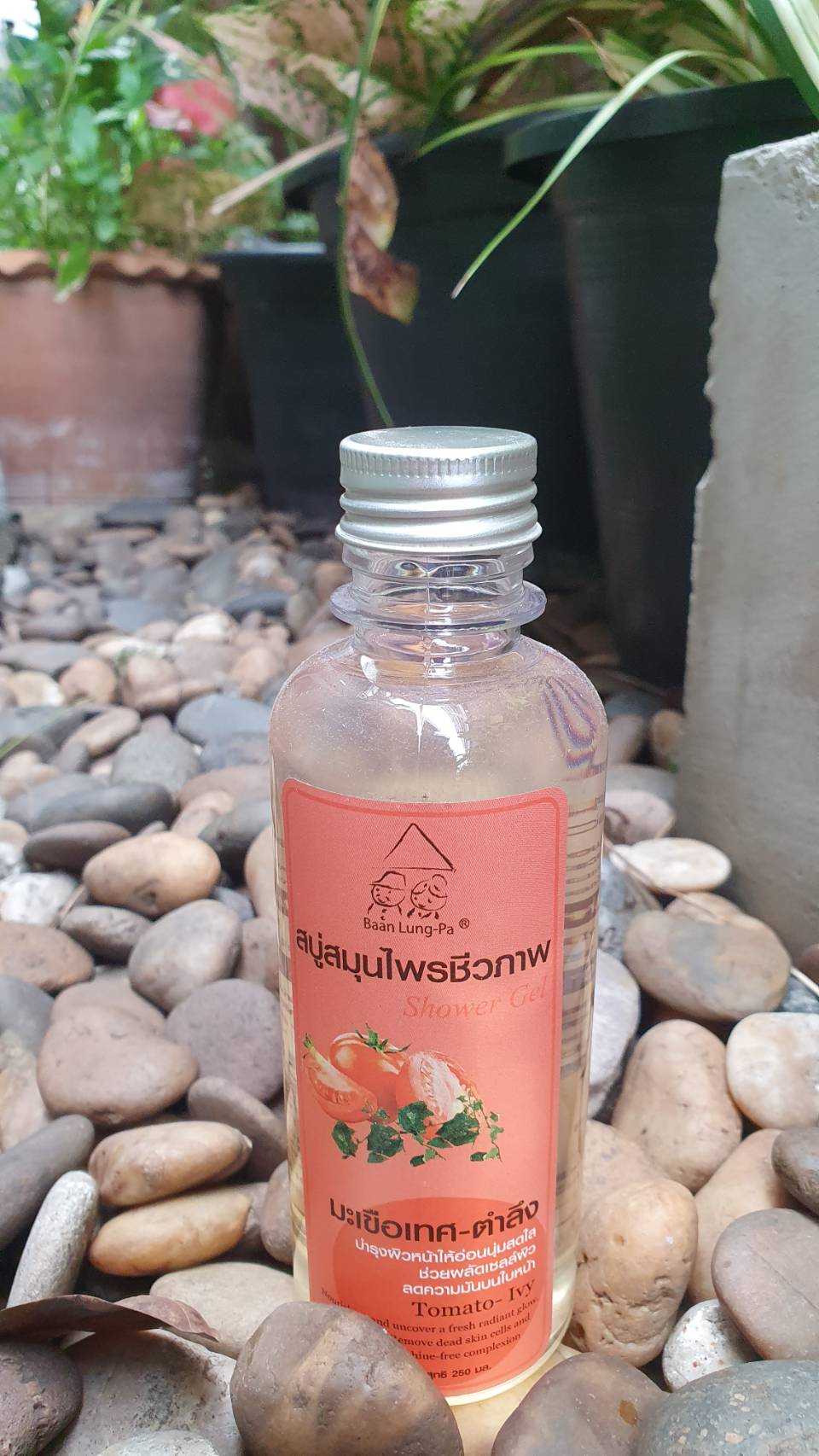 64-131-0070-1 สบู่เหลวมะเขือเทศ-ตำลึง