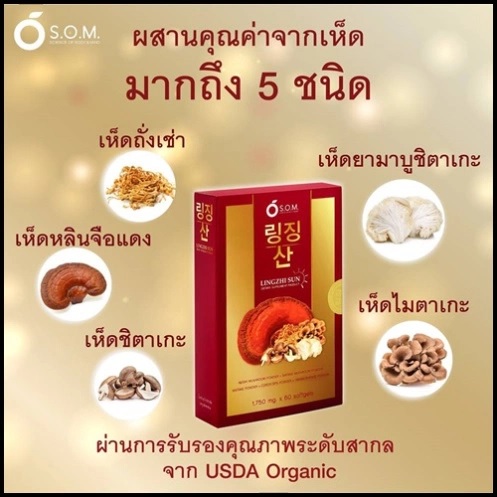 S.O.M LINGZHI SUN มีส่วนประกอบอะไรบ้าง, หลินจือ ซัน มีส่วนประกอบอะไรบ้าง, LINGZHI SUN มีส่วนประกอบอะไรบ้าง S.O.M LINGZHI SUN มีส่วนประกอบอะไรบ้าง, หลินจือ ซัน มีส่วนประกอบอะไรบ้าง, LINGZHI SUN มีส่วนประกอบอะไรบ้าง