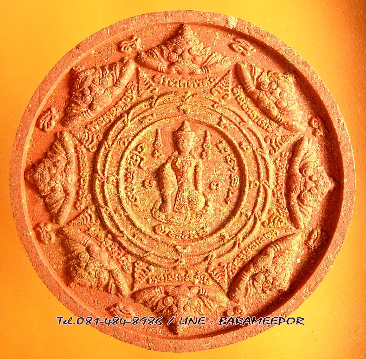 ว่านกลม ขุนพันธ์ มือปราบสิบทิศ เนื้อว่านแดง ขนาด 5 ซม.