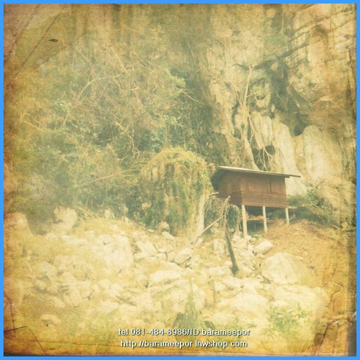 พ่อหลวงโปร่ง โชติโก วัดถ้ำพรุตะเคียน ชุมพร รุ่นสารพัดดี ปี ๒๕๕๖ มีให้เลือกหลายเนื้อและเม็ดแตง