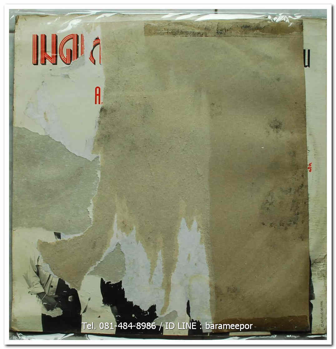 เมดเลย์ 4 ดาวอีสาน ดาว บ้านดอน/ศักดิ์สยาม เพชรชมพู/เทพพร เพชรอุบล/สนธิ สมมาตร์