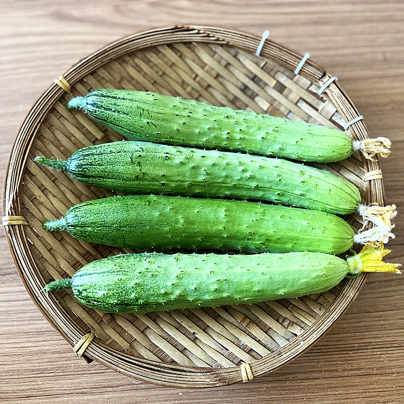 เมล็ดพันธุ์ แตงกวาญี่ปุ่น โอเนซัง Oneesan Japanese Cucumber F1 Seed