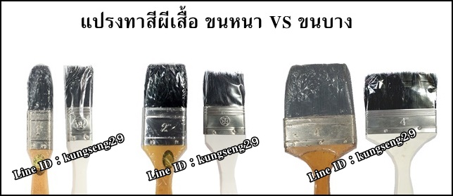 แปรงทาสีบางผีเสื้อ รุ่นขนหนา XYZ