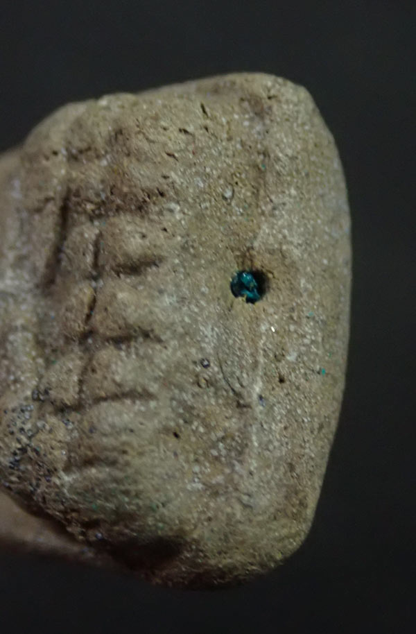 หลวงพ่อทวดเนื้อว่านดินกากยายักษ์ พิมพ์ใหญ่ A ฝังตะกรุดเงิน (หลังตราแผ่นดิน) อาจารย์ทอง วัดสำเภาเชย รุ่นพิทักษ์แผ่นดิน ปี 2551