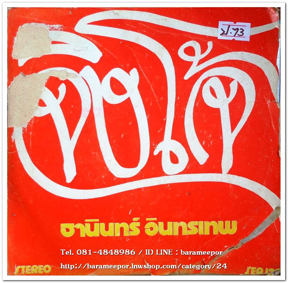 ธานินท์ อินทรเทพ ชุด จิงโจ้
