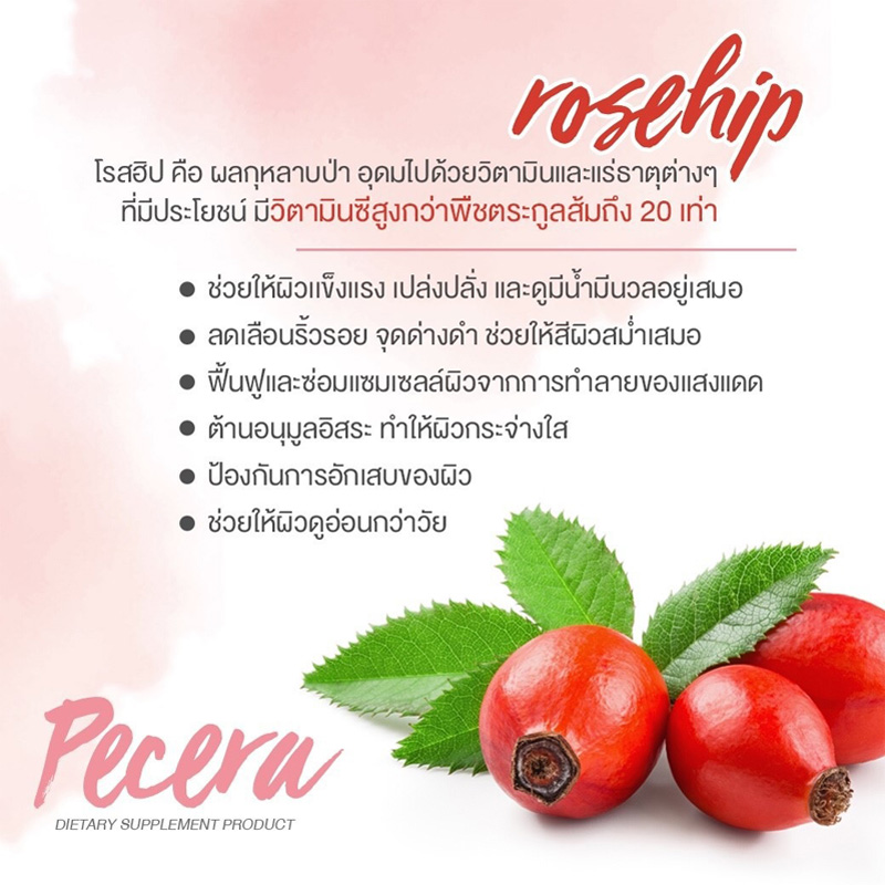 Rosehip ช่วยเรื่องอะไร โรสฮิป ช่วยเรื่องอะไร