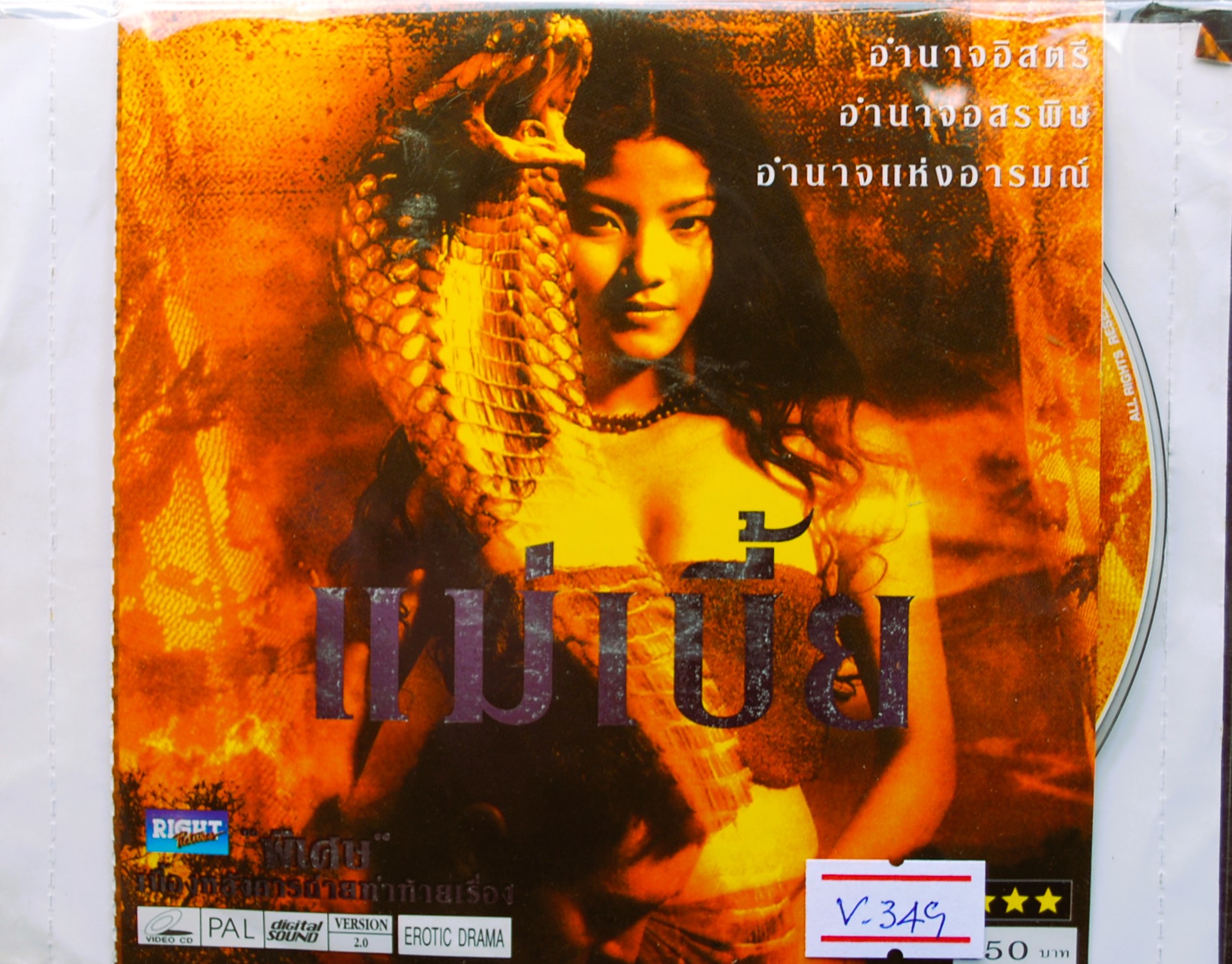 แม่เบี้ย V.349