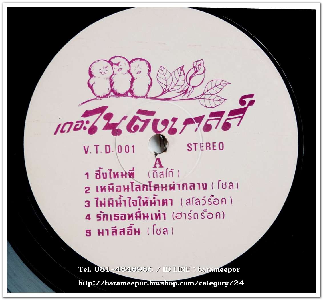 กิ่งกาญจน์ กาญจนา คณะไนติงเกลล์ ชุด ซึ้งใจไหมพี่