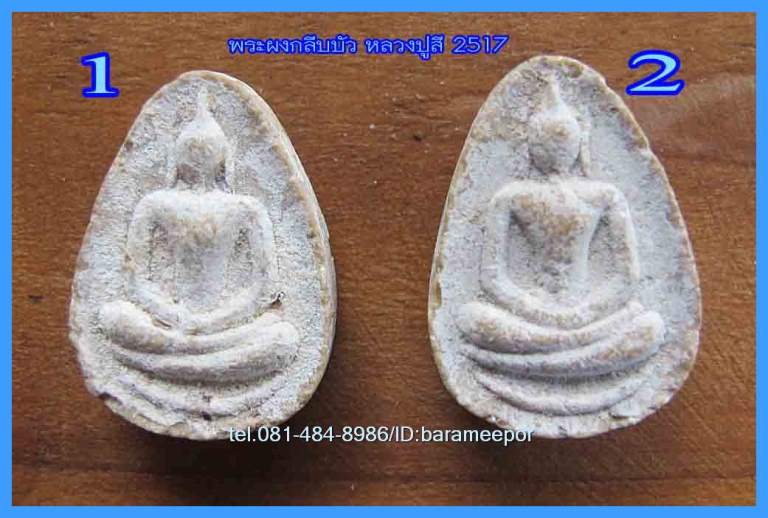 พระเนื้อผงกลีบบัว หลวงปู่สี ฉันทสิริ ปี 2517