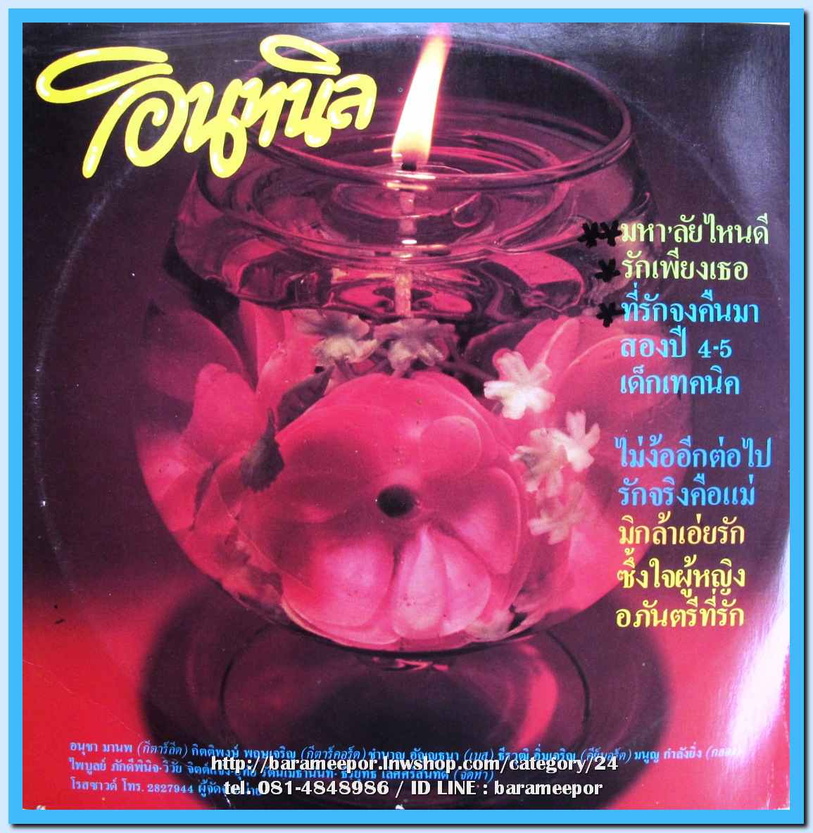 วงอินทนิล ชุด รักเพียงเธอ