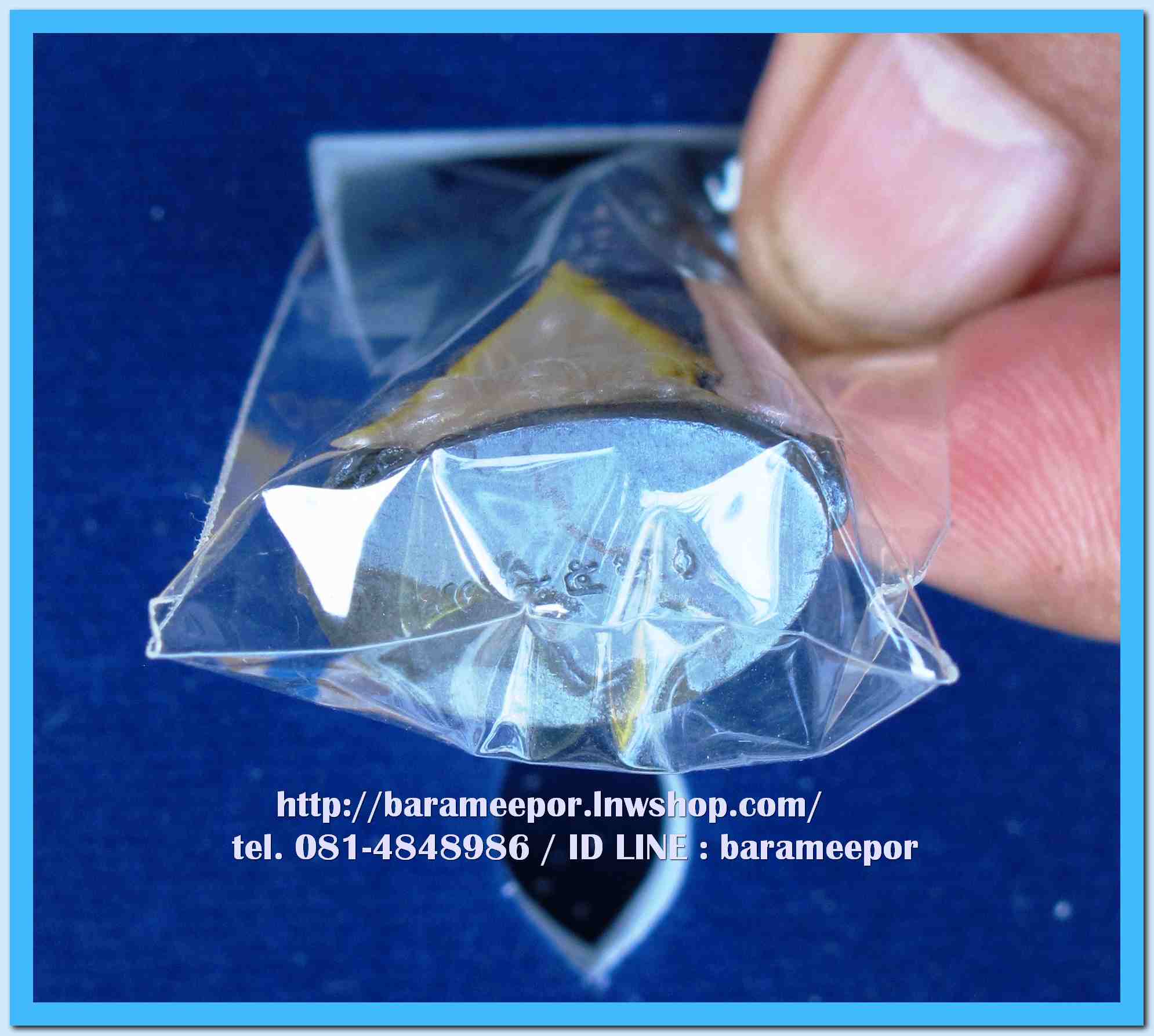 หลวงพ่อทวด 101 ปี อ.ทิม พิมพ์เสมา,หลังหนังสือ,เตารีด,รูปหล่อ,ว่าน (2)