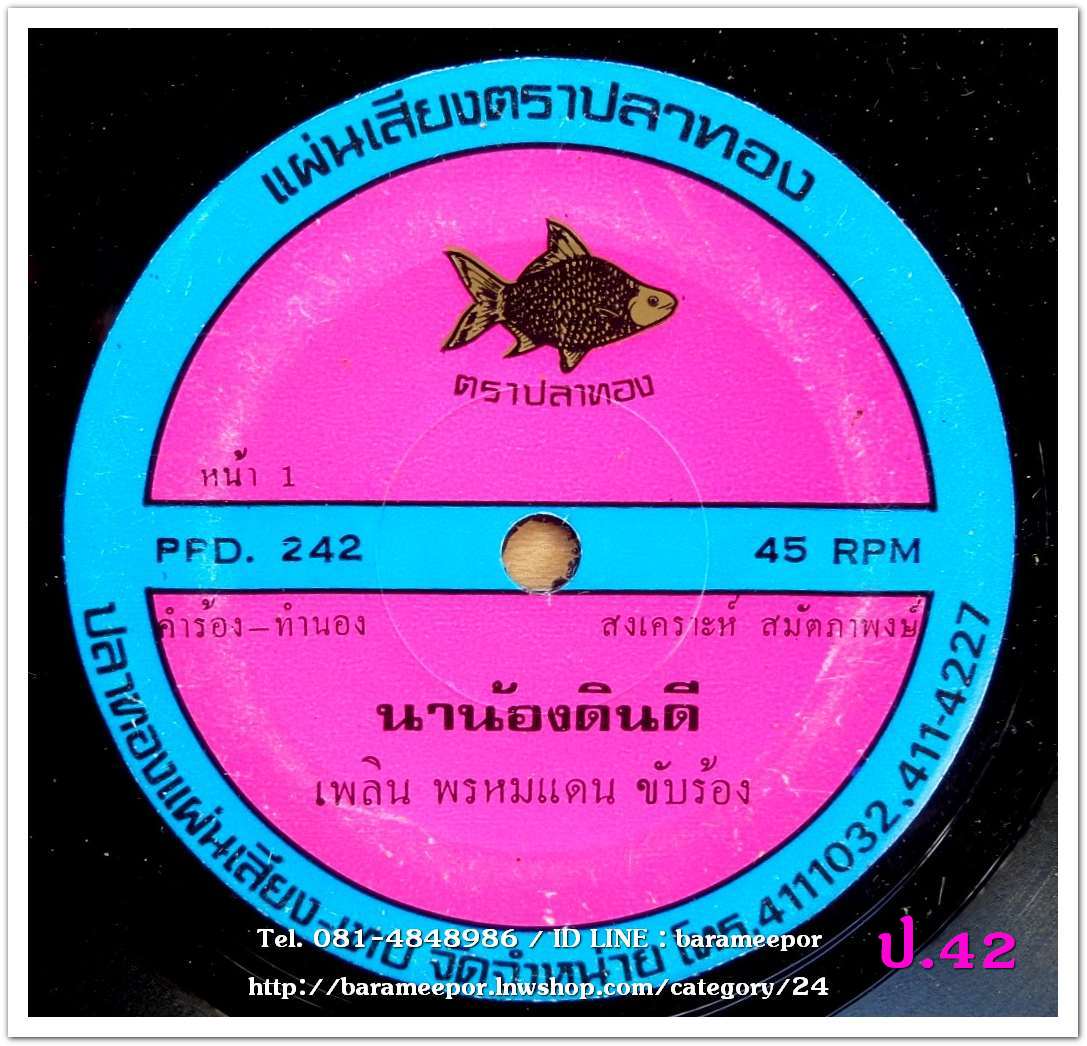 เพลิน พรหมแดน นาน้องดินดี ผู้ใหญ่สำเริง