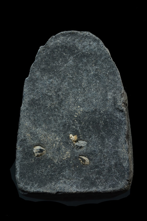 หลวงพ่อทวด รุ่นเลื่อนสมณศักดิ์ พิมพ์ตัวด้วงซุ้มกอ พ.ศ.2545