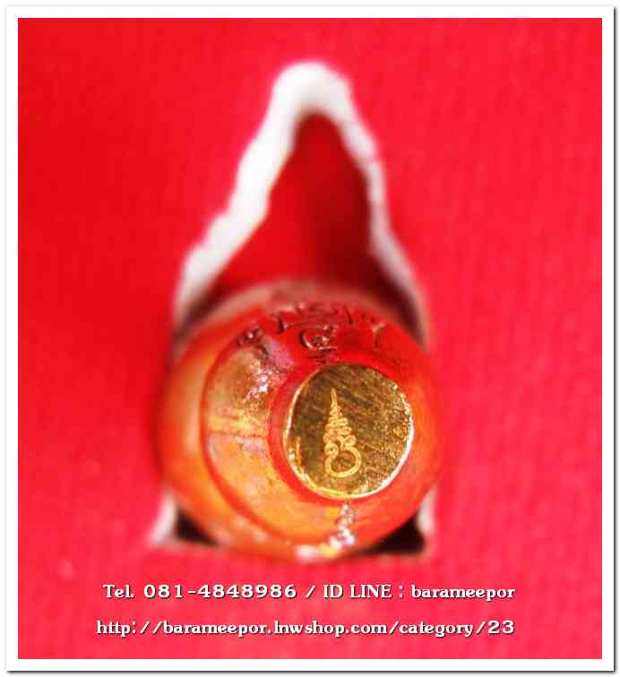 น้ำเต้าไอ้ไข่เรียกทรัพย์ พิธีพุทธาภิเษกสรงน้ำ 63 วัดเจดีย์ เนื้อแดงเพลิง (พิมพ์เล็ก)