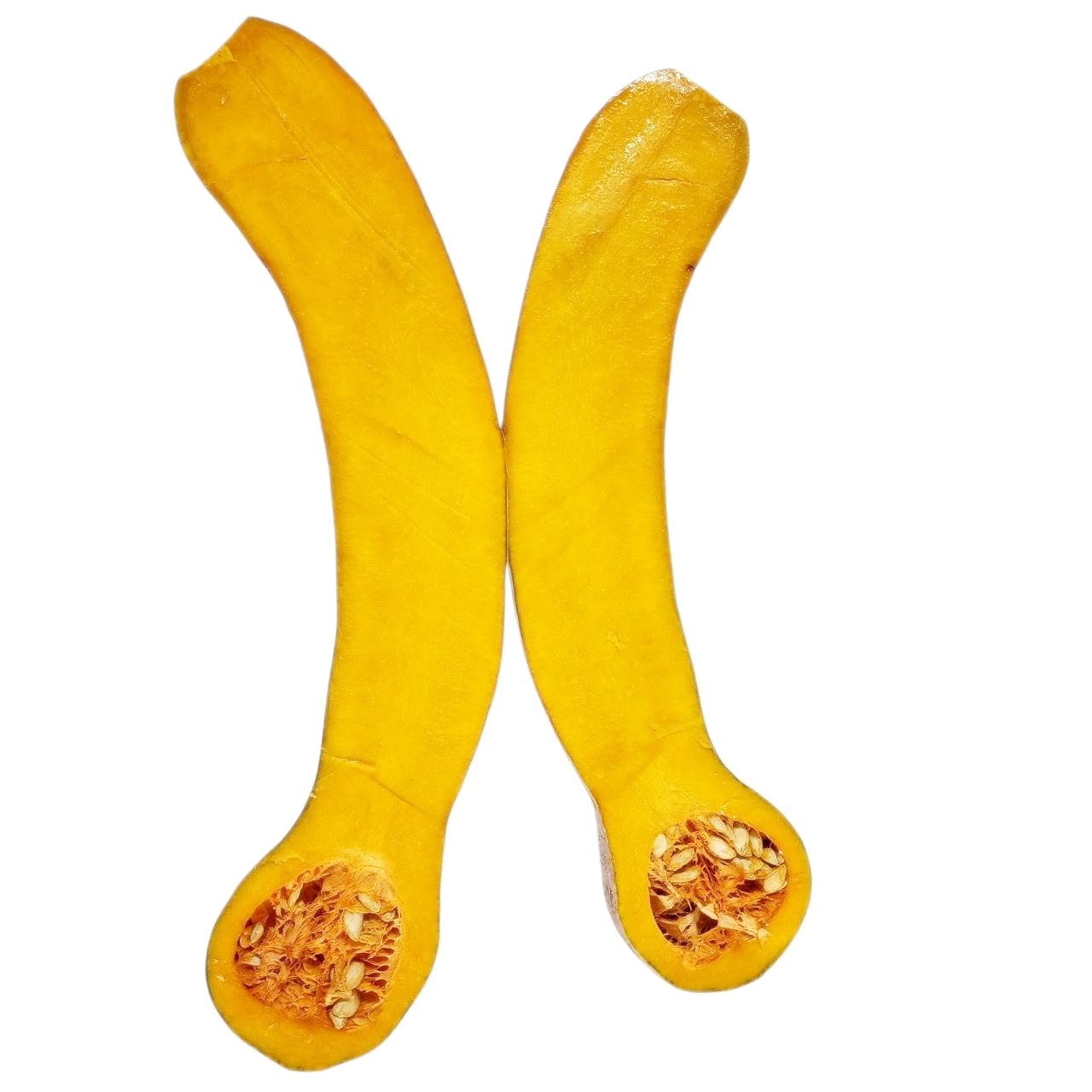 เมล็ดพันธุ์ ฟักทอง เงือกสองใจ Ngueak Song Jai Squash Seed