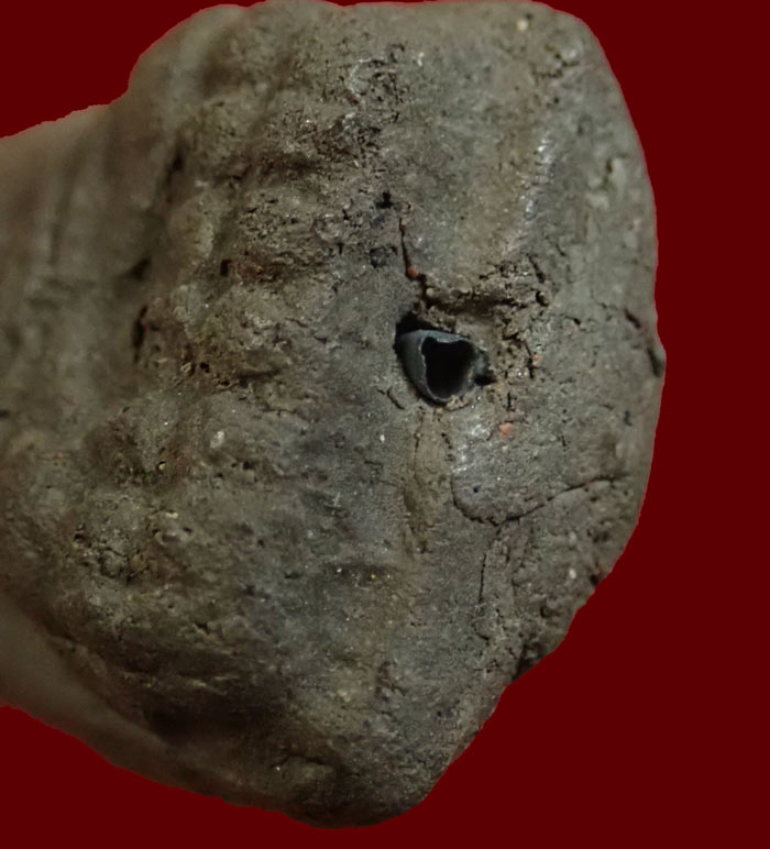 หลวงพ่อทวด อาจารย์ทอง วัดสำเภาเชย รุ่นสุวรรณมงคล ปี 2548 เนื้อว่านพิมพ์ใหญ่