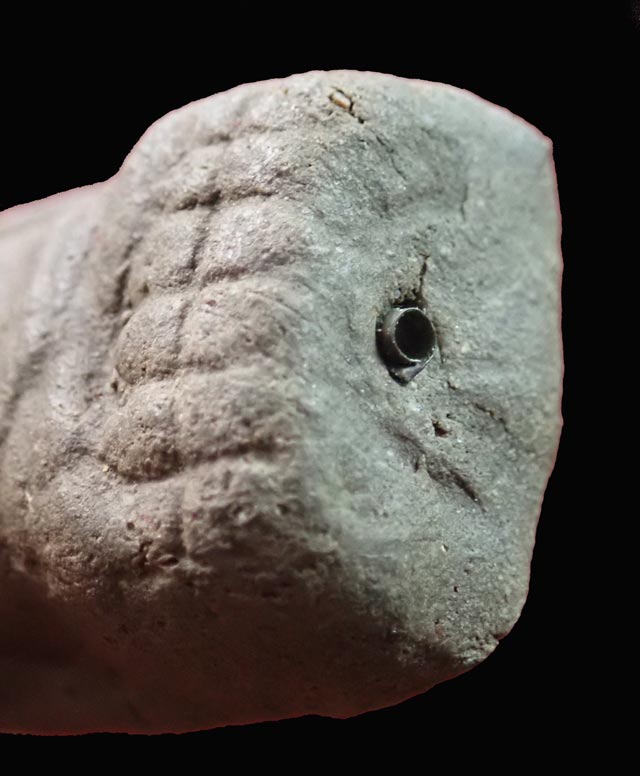 หลวงพ่อทวดเนื้อว่านดินกากยายักษ์ พิมพ์พระรอด ฝังตะกรุดเงิน (หลังตราแผ่นดิน) อาจารย์ทอง วัดสำเภาเชย ปี 2551 รุ่นพิทักษ์แผ่นดิน