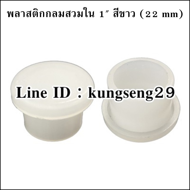 พลาสติกกลมใน 1" จุกอุด 22 mm (สีขาว)