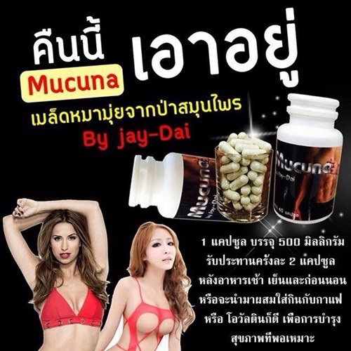(3 ขวด 1500 บาท) MUCUNA เมล็ดหมามุ่ย งาน *แข็ง!! *ใหญ่!! *อึด!! *ทน!! ก็มา